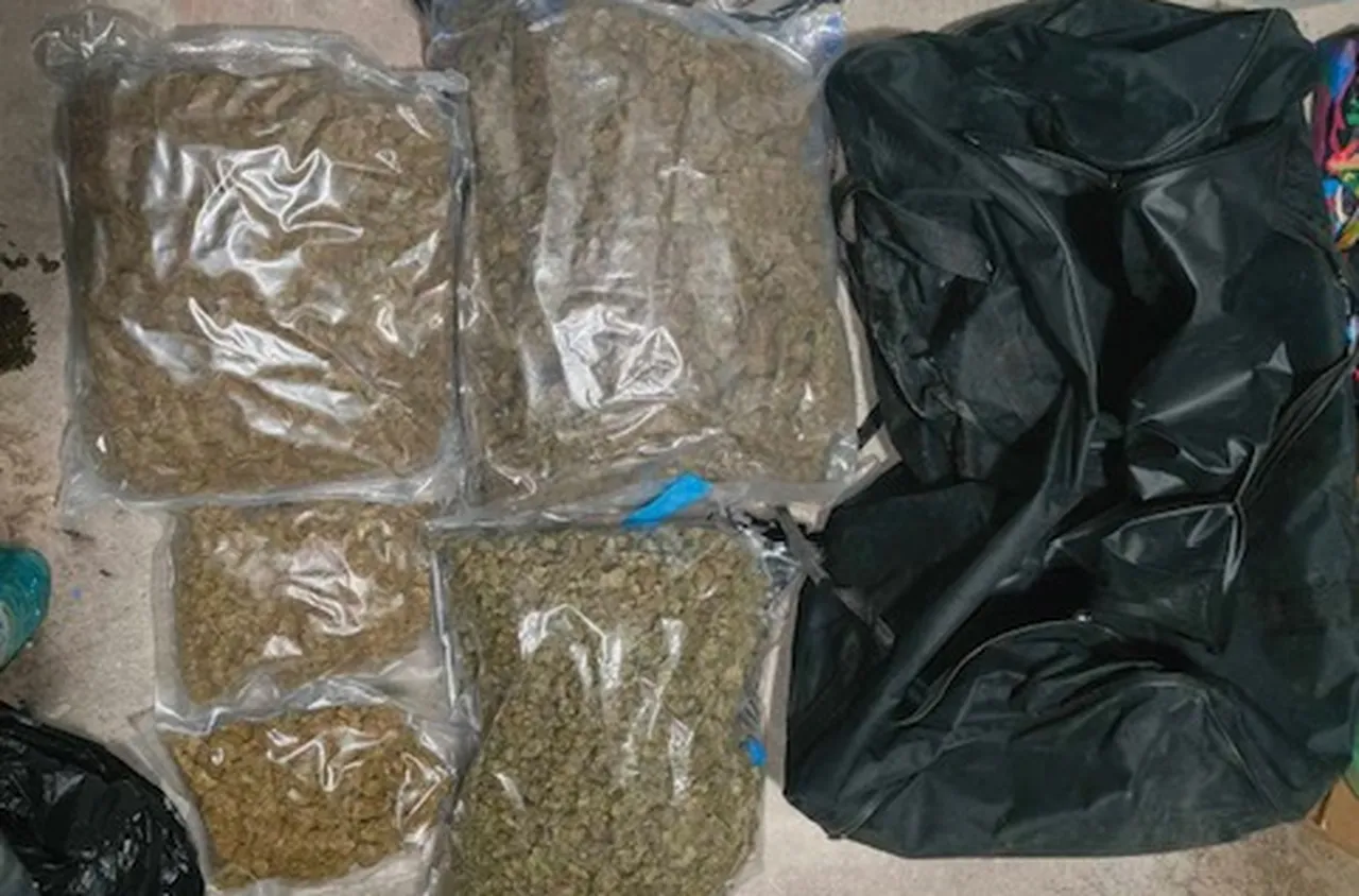 Мащабна акция в София: Разбити са две наркобази