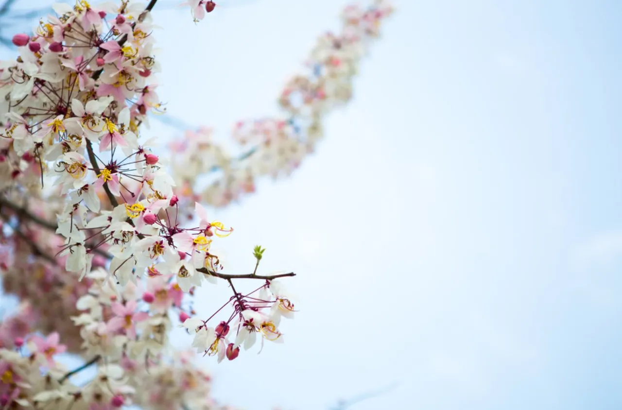 Времето на 9 март 2026 г.