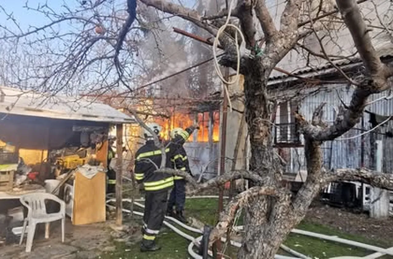 Пожар до Ботаническата градина в Пловдив, двама души са пострадали