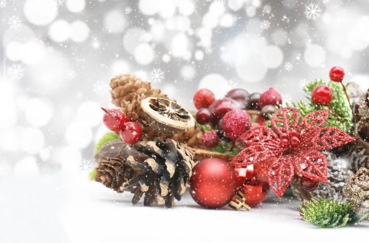 Поздравителен адрес на директора на ЮЗДП