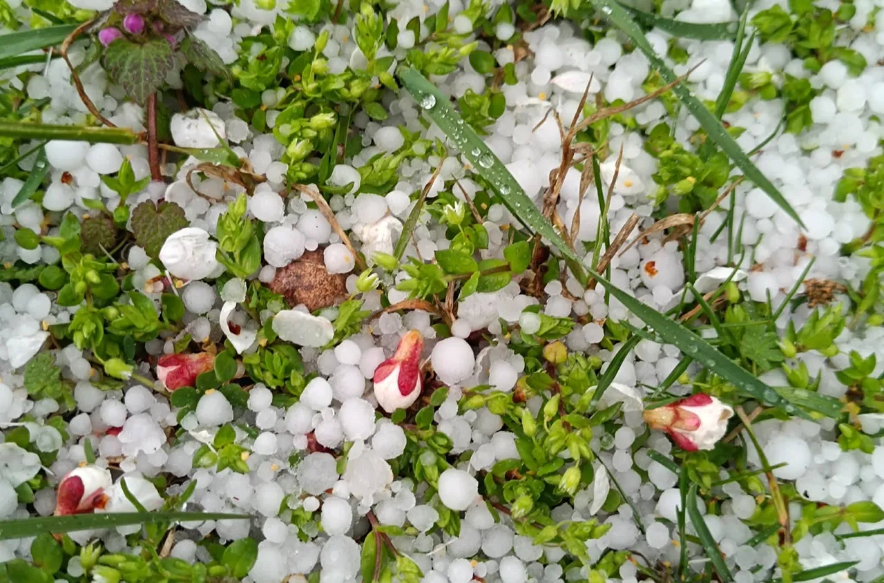 Градушка с големина на орех удари Крумовград