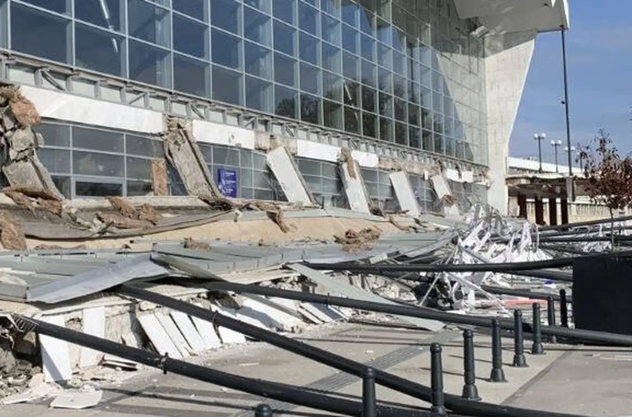 Арестуваха геолога предупредил за смъртоносната козирка в Нови Сад