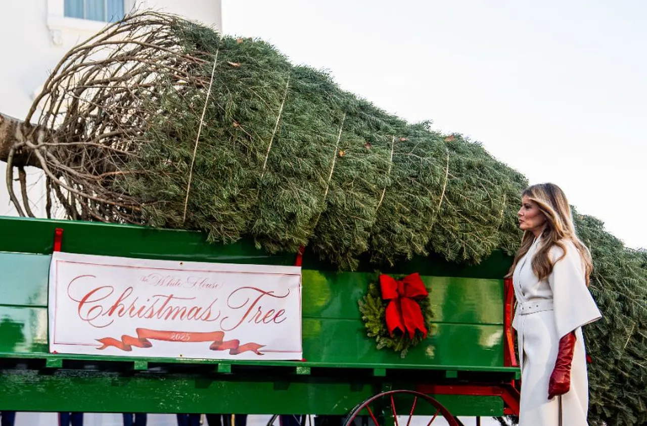 Мелания Тръмп посрещна коледното дърво на Белия дом