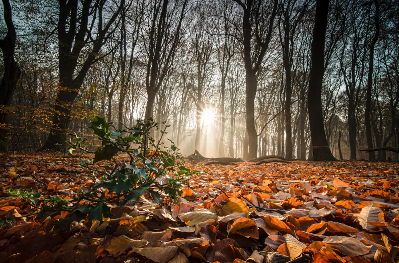 Времето на 14 март 2026 г.