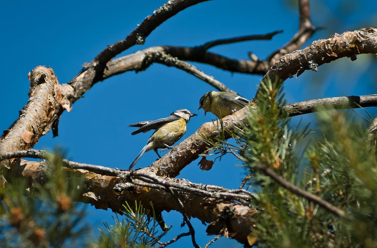 Времето на 14 декември 2025 г.