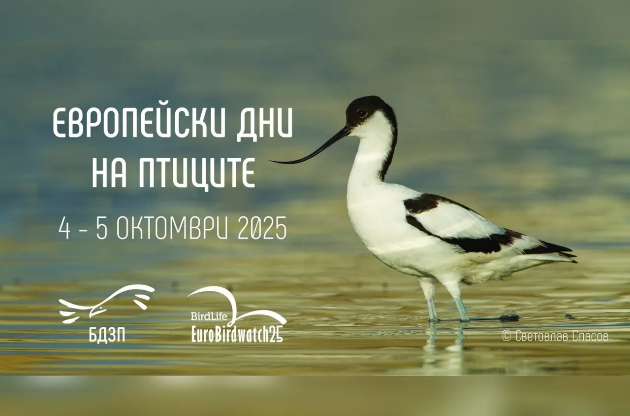 4 и 5 октомври - Европейски дни на птиците 2025