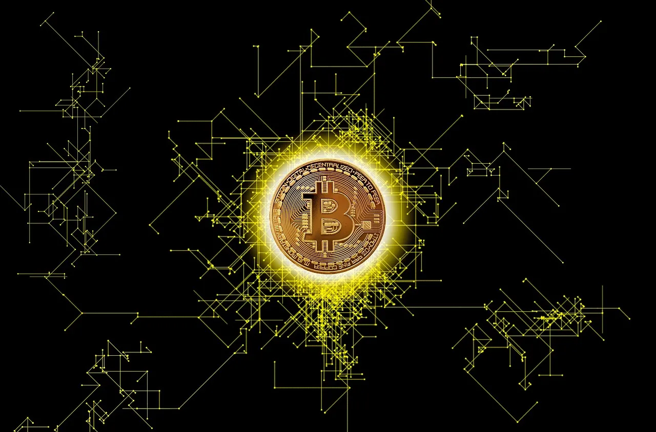 Кои държави имат най-много Биткойни ?