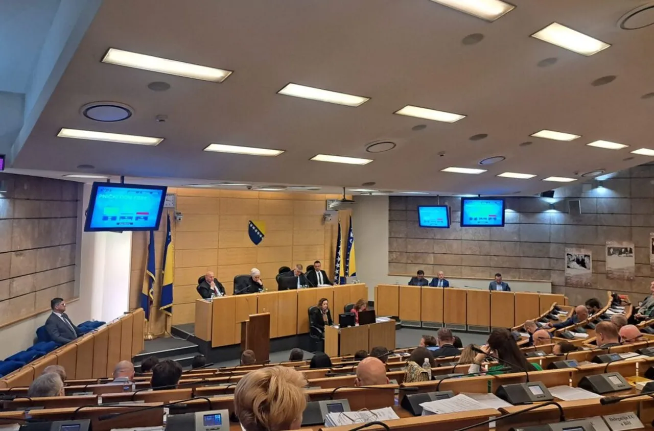 Предлагат нов Закон за защита от домашно насилие в Босна