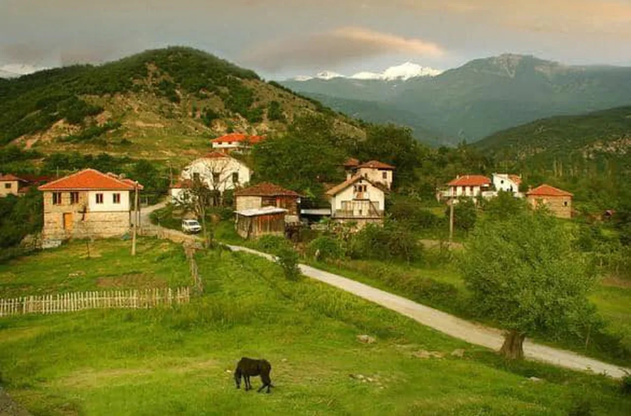 Село Влахи се стяга за събор