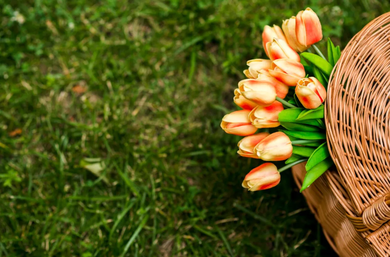 Времето на 8 март 2026 г.