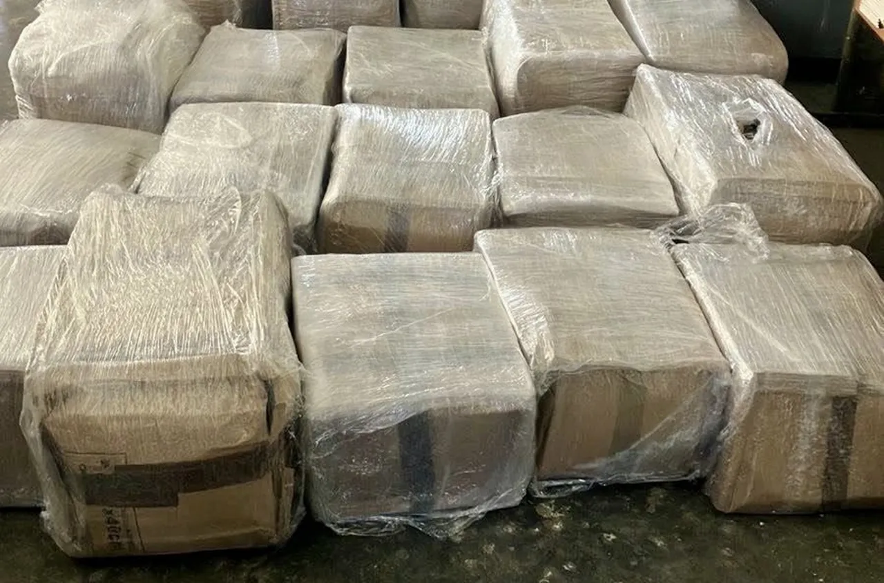 Българин е арестуван във Франция със 179 кг кокаин