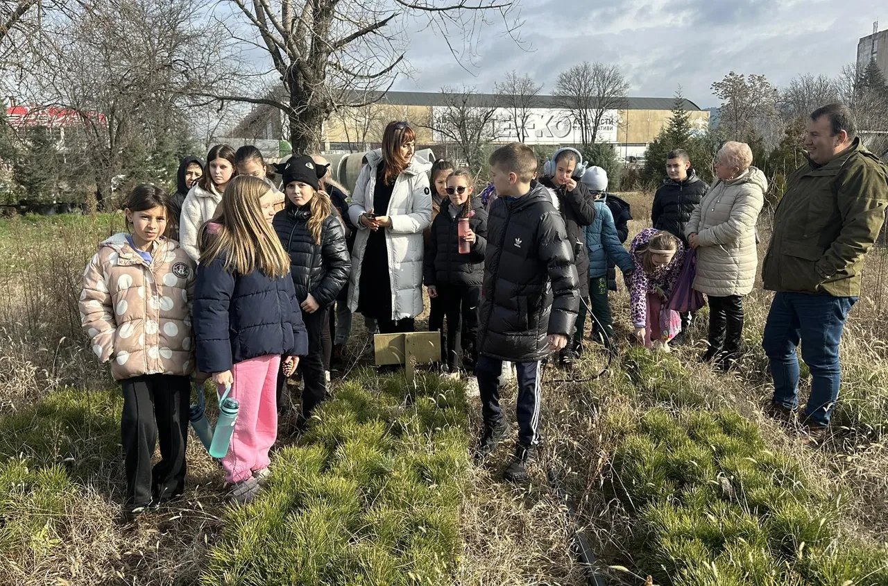 Ученици от Благоевград посетиха разсадник на ДГС