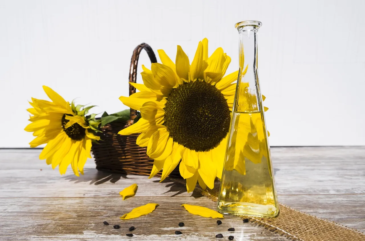 Тонове опасни вещества в слънчоглед от Аржентина