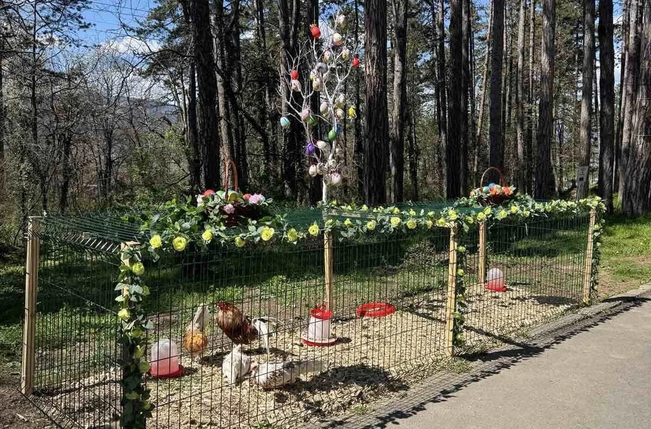 Великденски кът с живи животни радва децата в Кюстендил