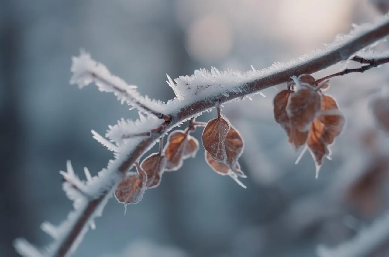 Времето на 12 януари 2026 г.