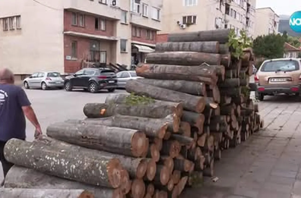 СЗДП – Враца отчита рекорден ръст в продажбите на дърва за огрев