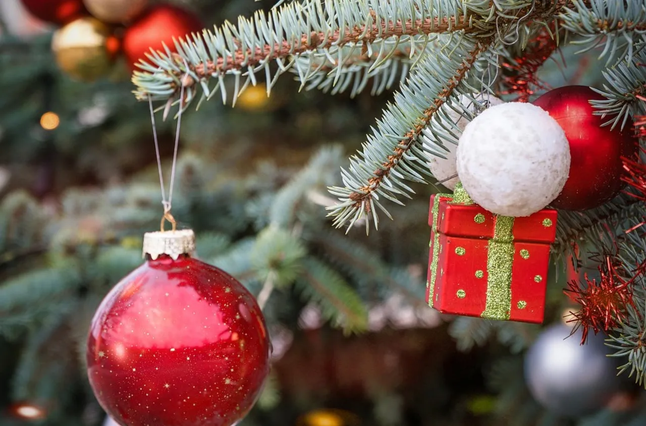 Коледната елха в Дупница грейва на 5 декември