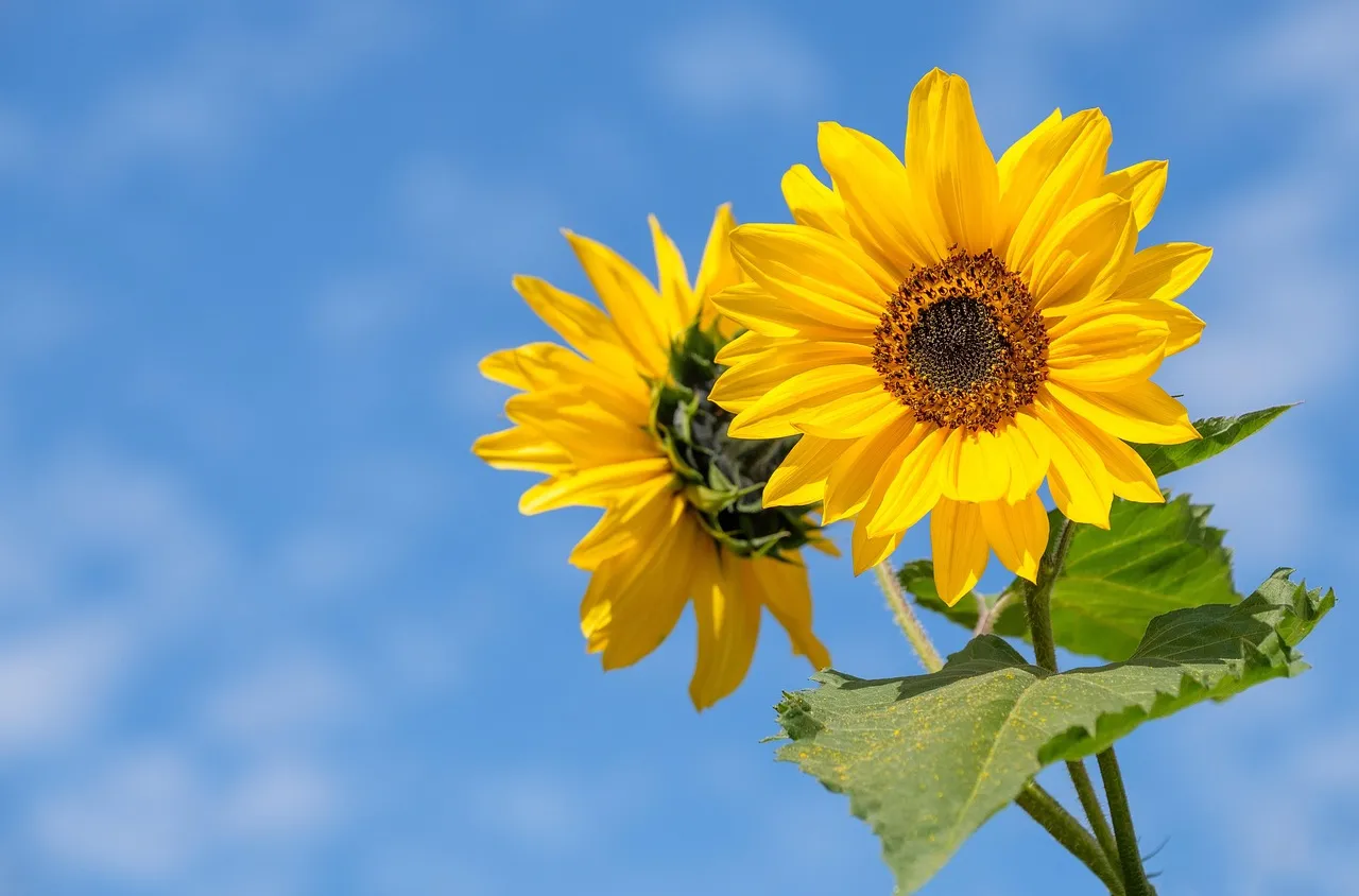 Времето на 13 август 2025 г.