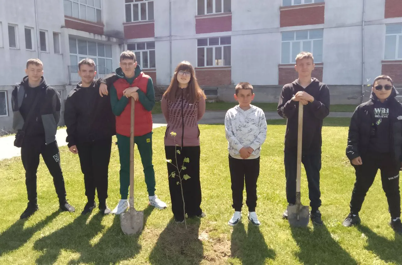 Ученици в Хаджидимово засадиха дръвчета в двора на училището