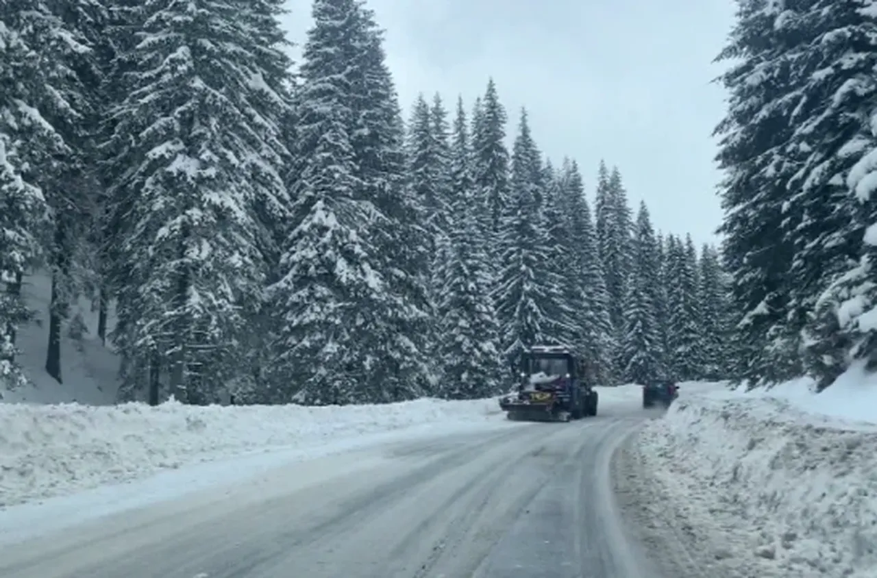 Сняг на проходите "Превала" и "Пампорово"