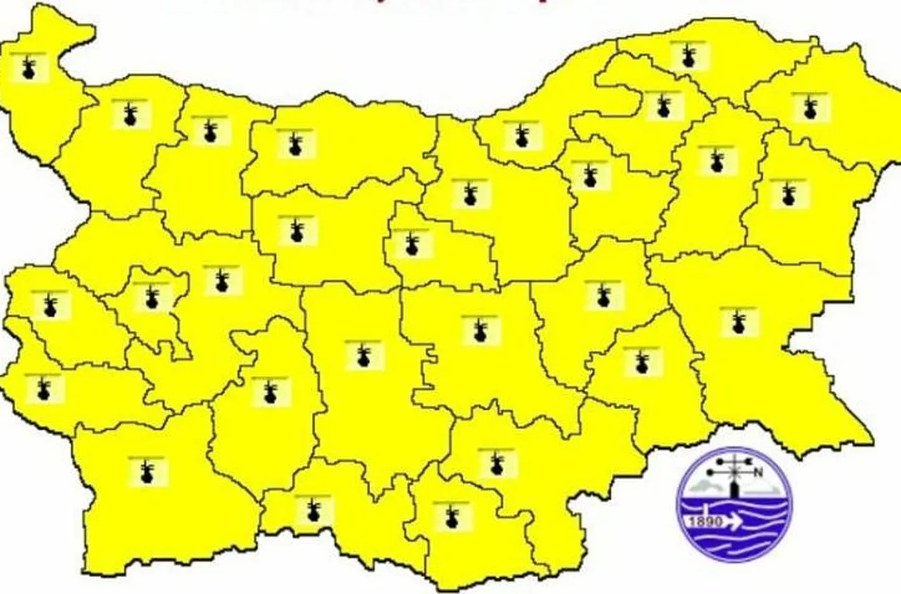 Жълт код за опасно горещо време