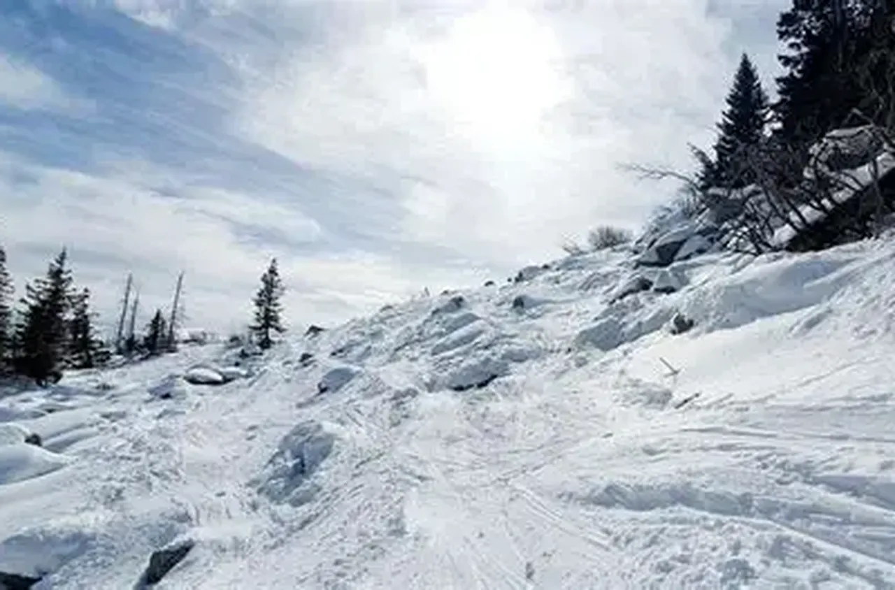 Поради силния вятър затварят временно пътищата до Витоша