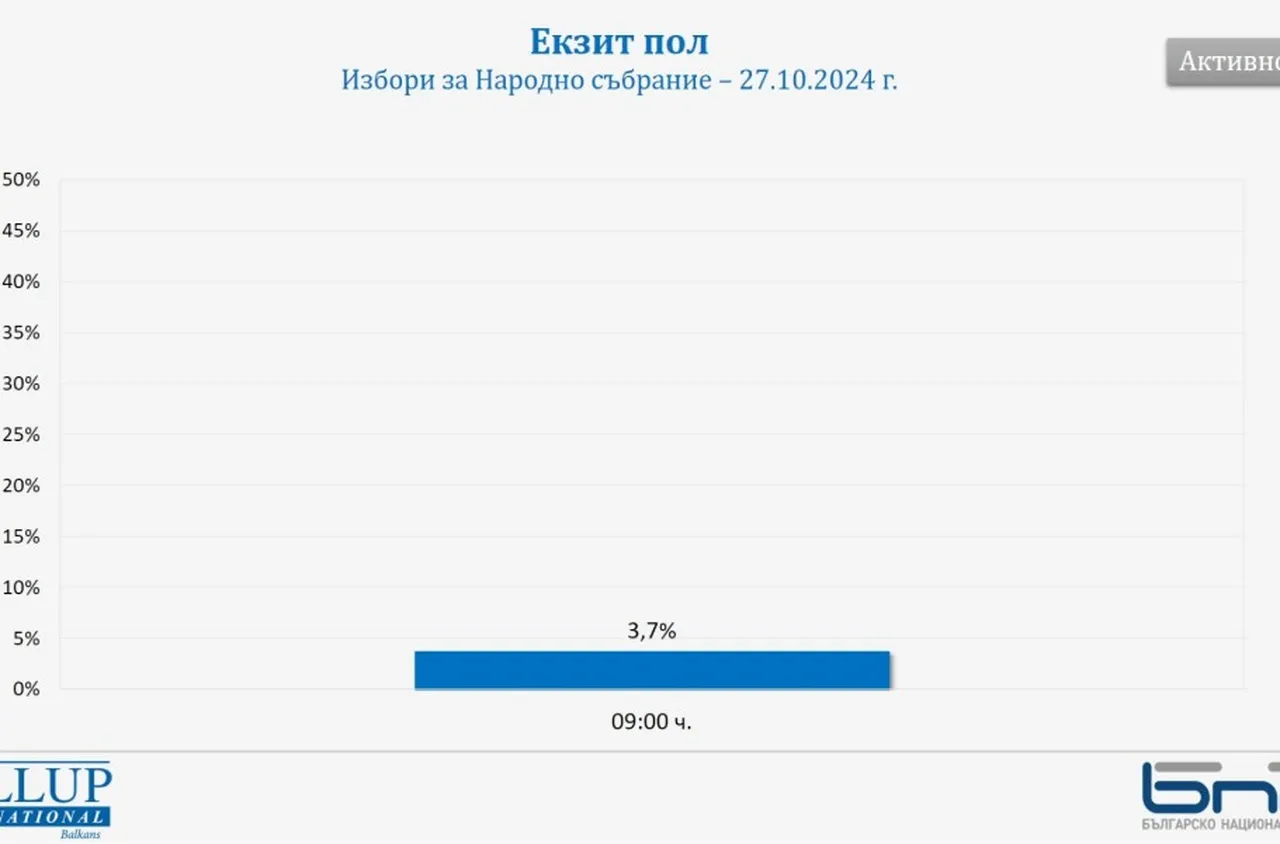 "Галъп интернешънъл болкан": Избирателната активност към 09.00 часа е 3,7%