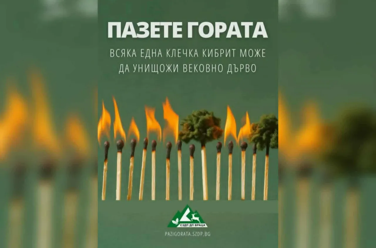 СЗДП напомня: "Пази гората – богатство, което дишаме“