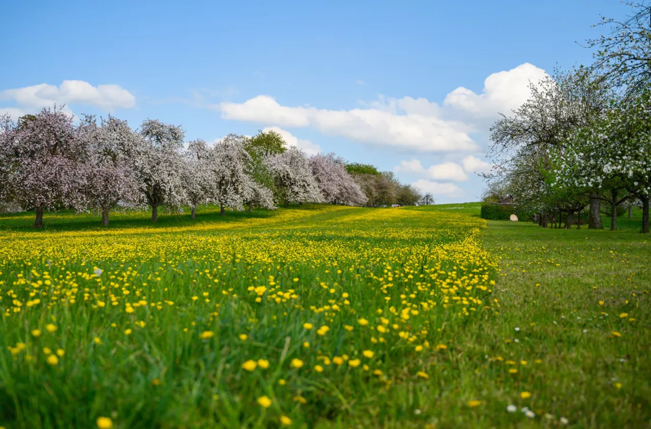 Времето на 6 март 2026 г.