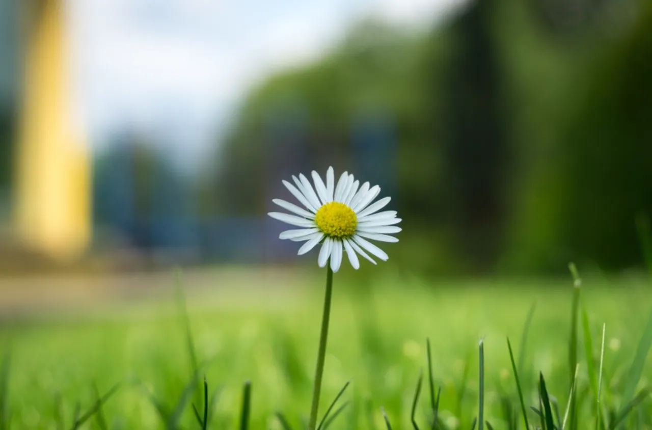 Времето на 17 април 2026 г.