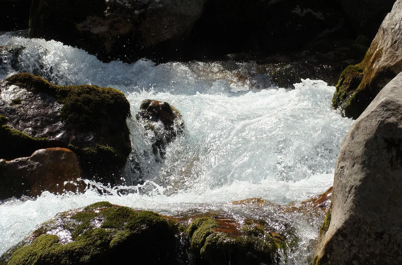 Река Елешница преля в района на Рилския манастир