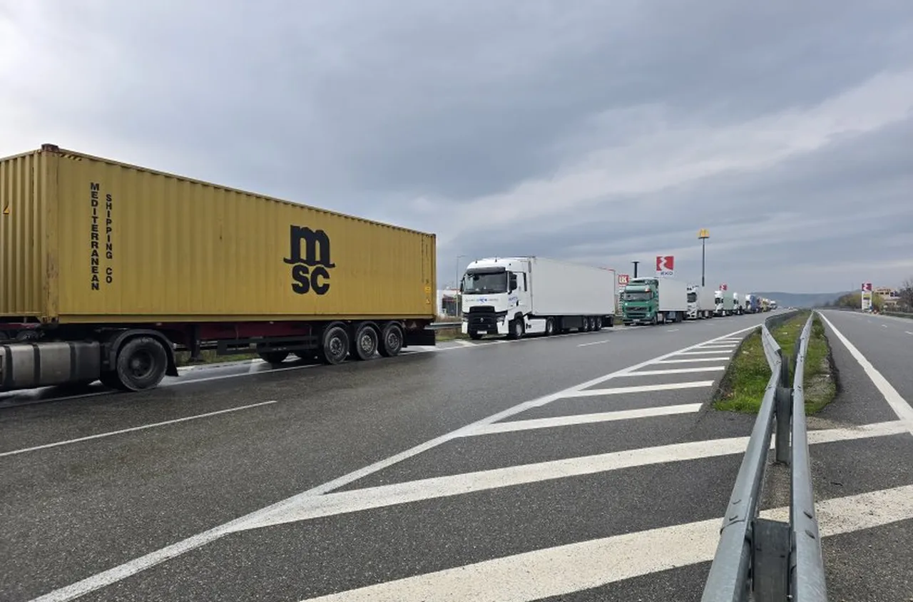 10-километрова опашка от тирове на "Кулата" заради протеста на гръцките фермери