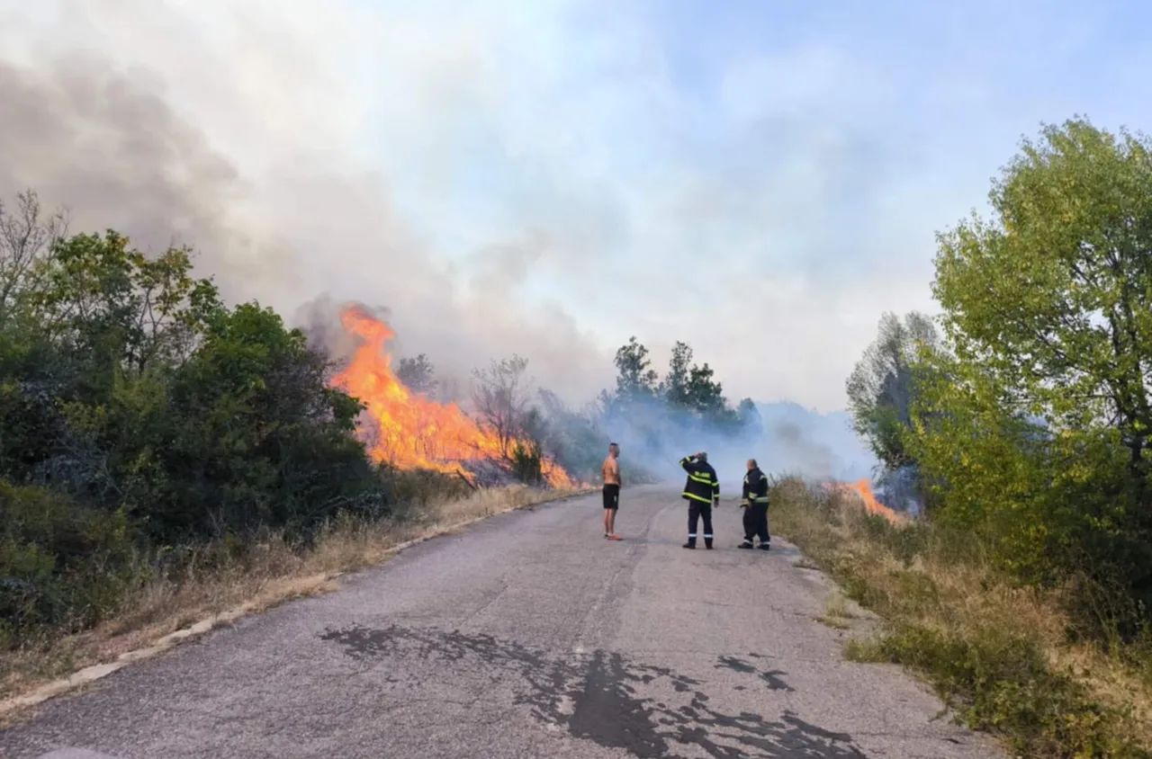 И днес продължава гасенето на пожара в Национален парк "Рила"