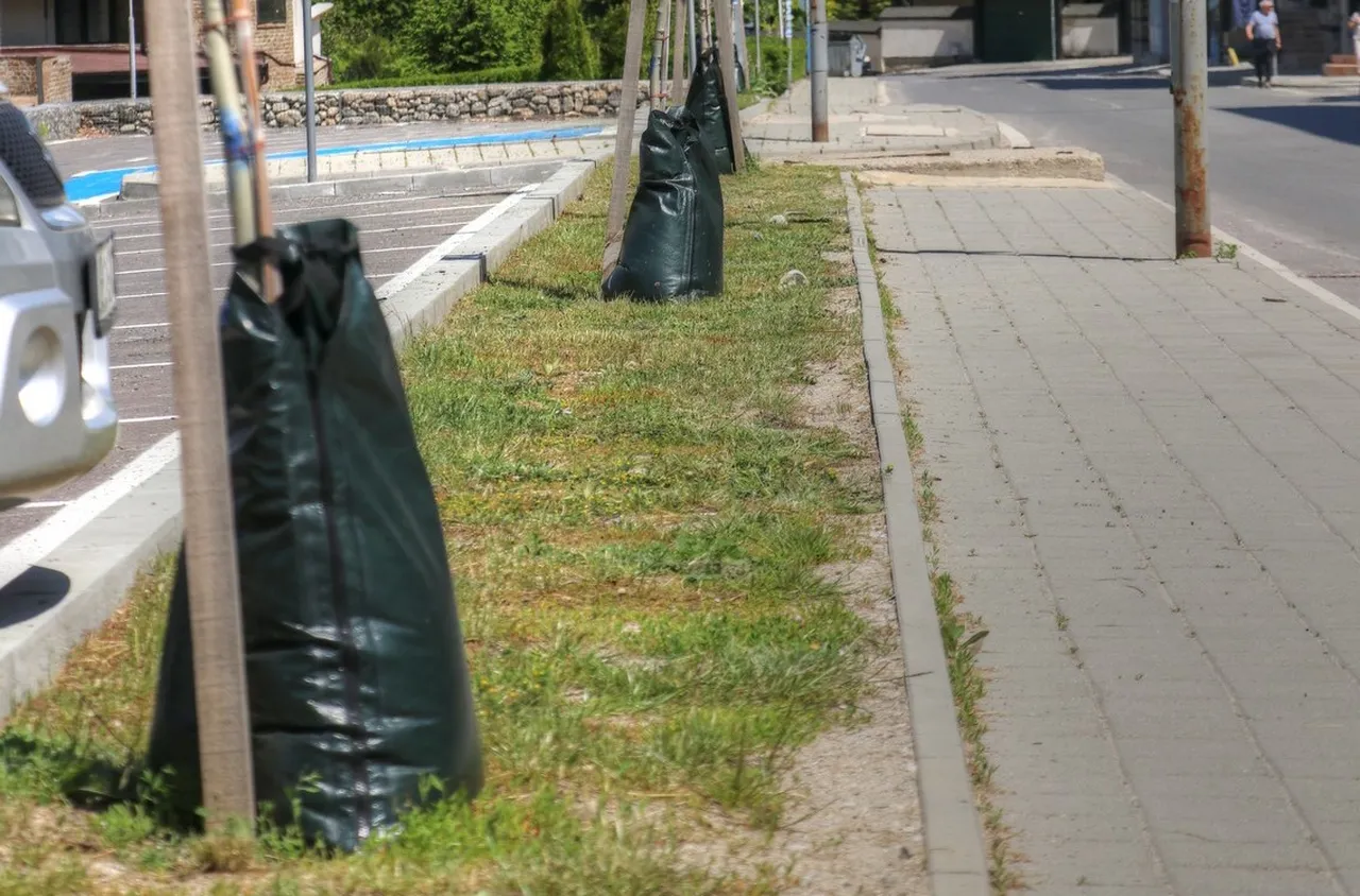 Грижи за природата с мисъл за бъдещето - Банско отбеляза 5 юни
