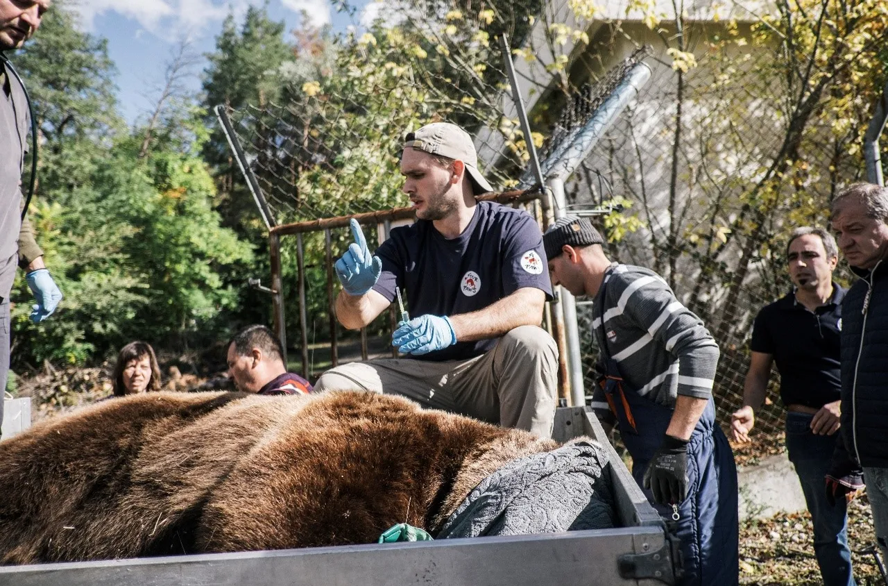 Зоопарк Благоевград с мерки за опазване на мечките
