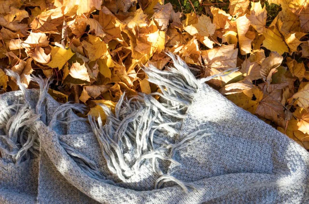 Времето на 17 ноември 2025 г.