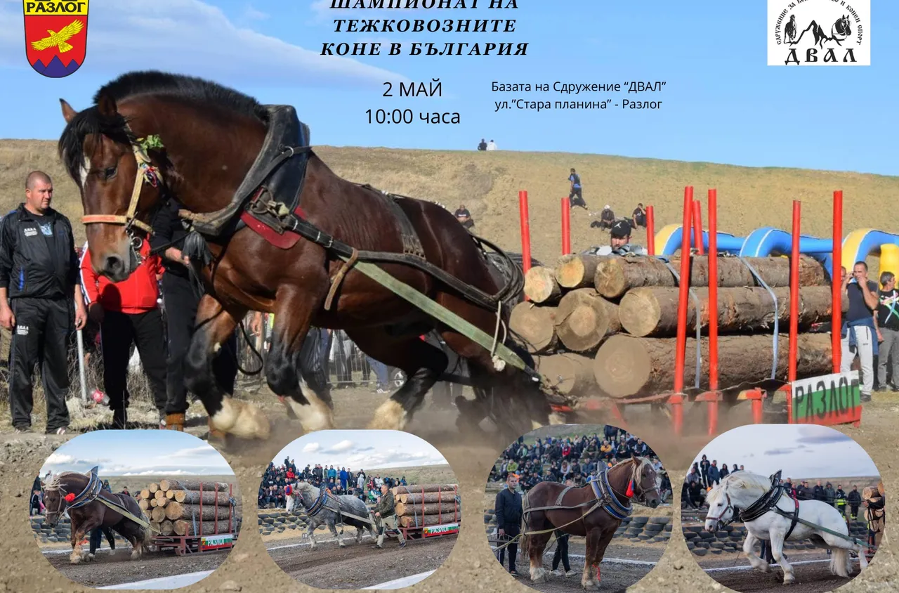 Разлог приема шампионата на тежковозните коне