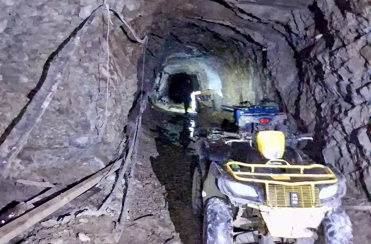 Разкриха подземна плантация за канабис край Кюстендил