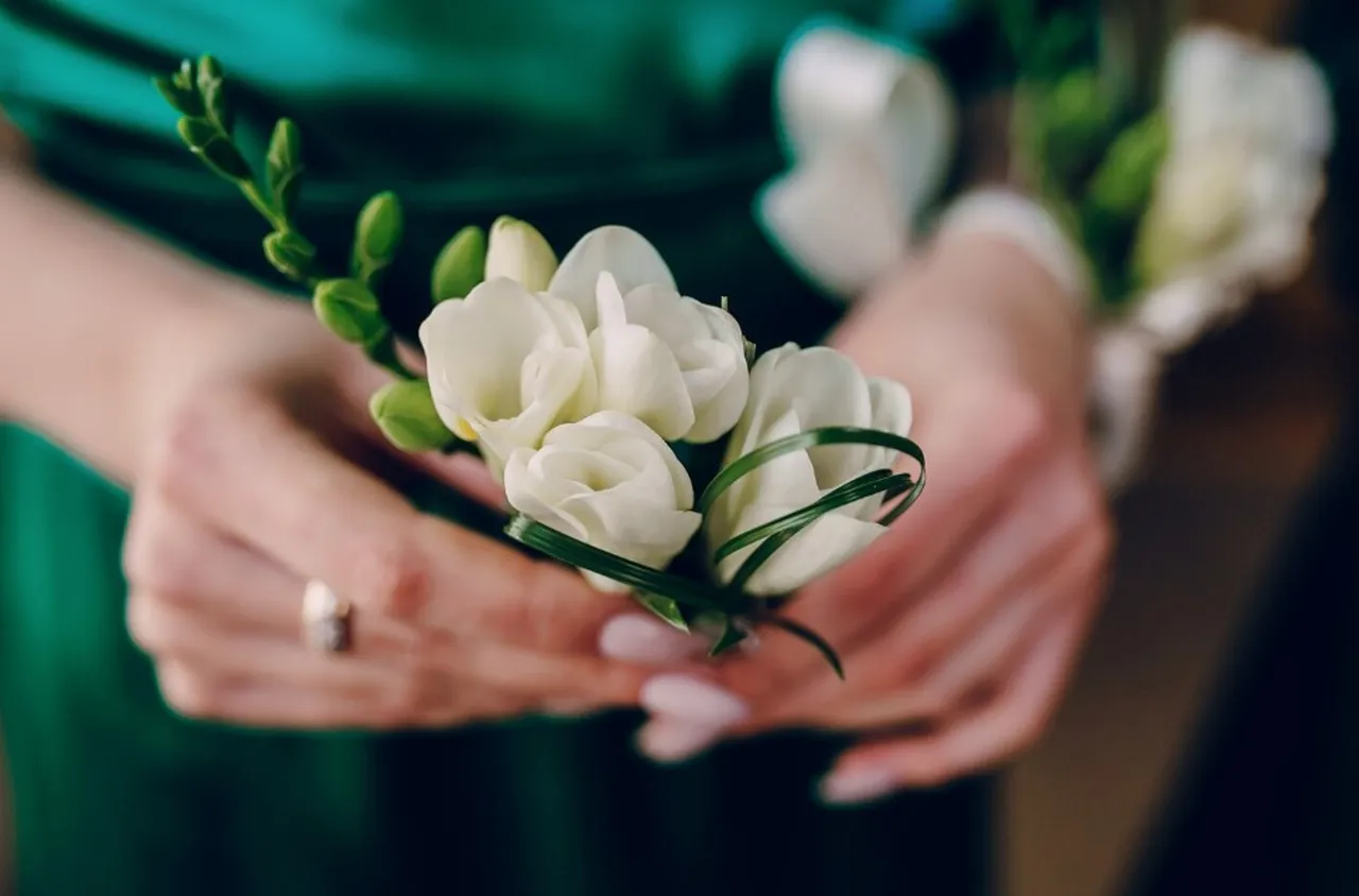 Почит към героите: Кресна открива нов паметник