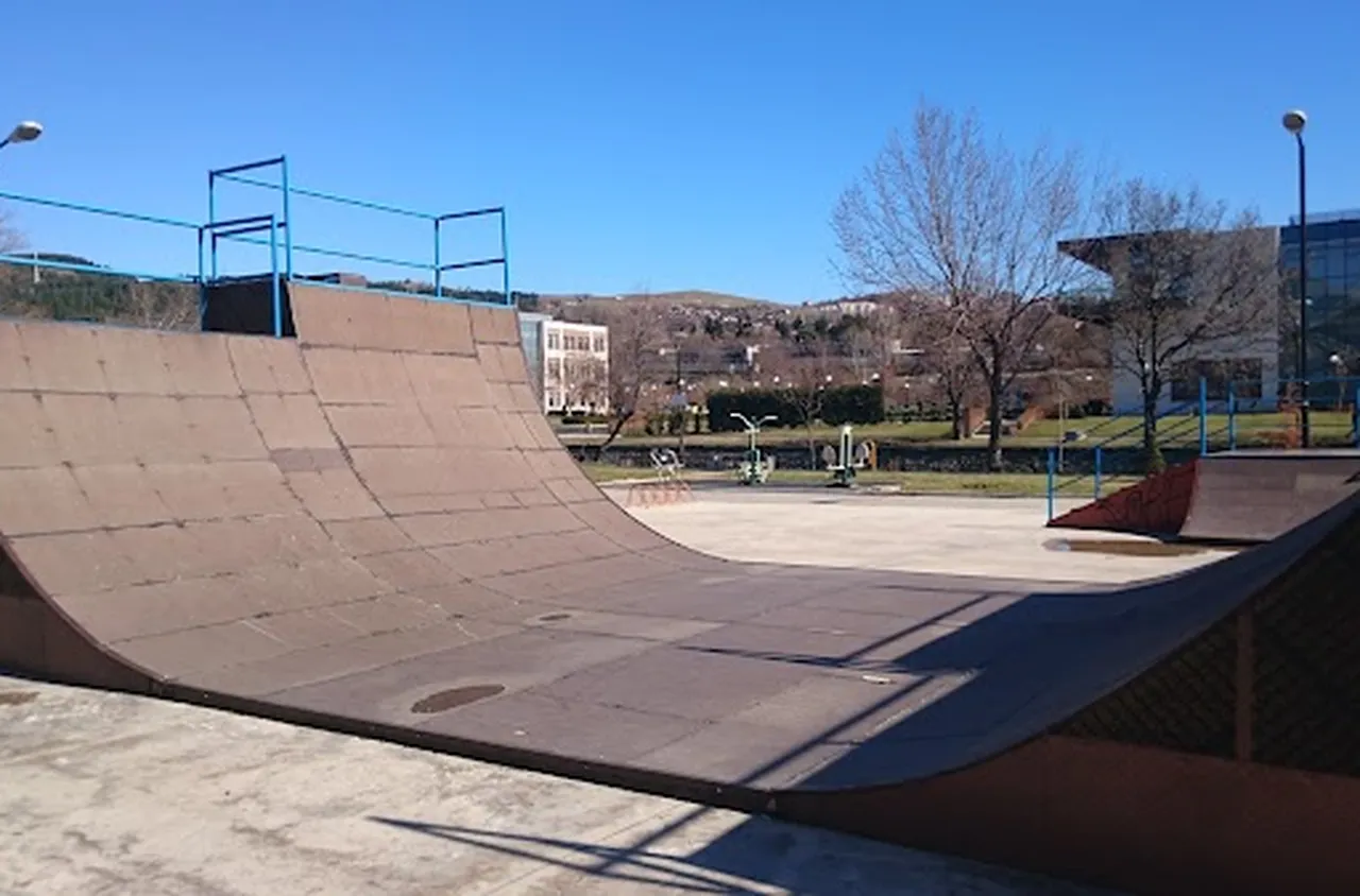 Професионални скейтъри откриват новия парк в "Даме Груев"