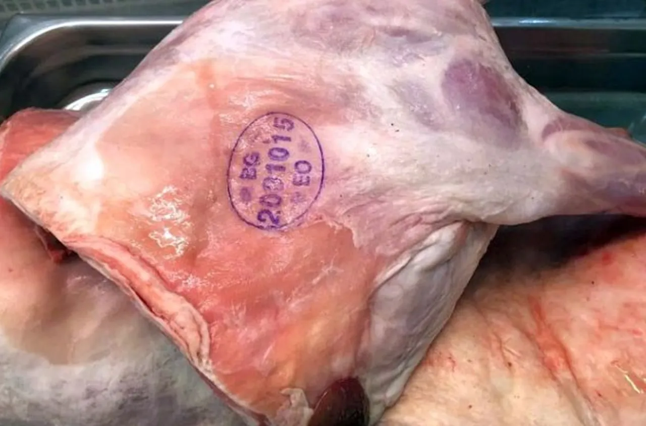 Дни преди Великден в Гърция конфискуваха 11 тона развалено месо