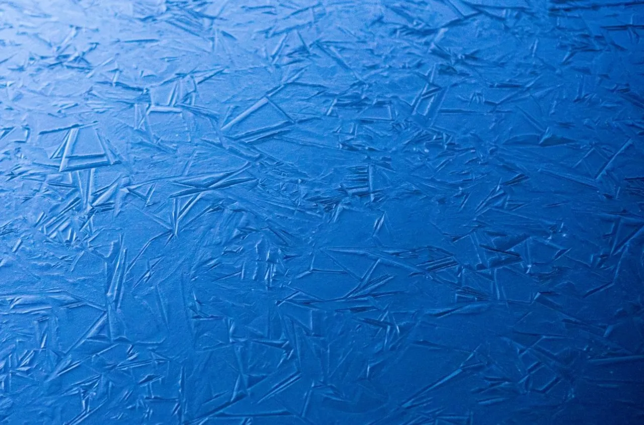 Какво е морски сняг и защо оказва влияние на океаните?