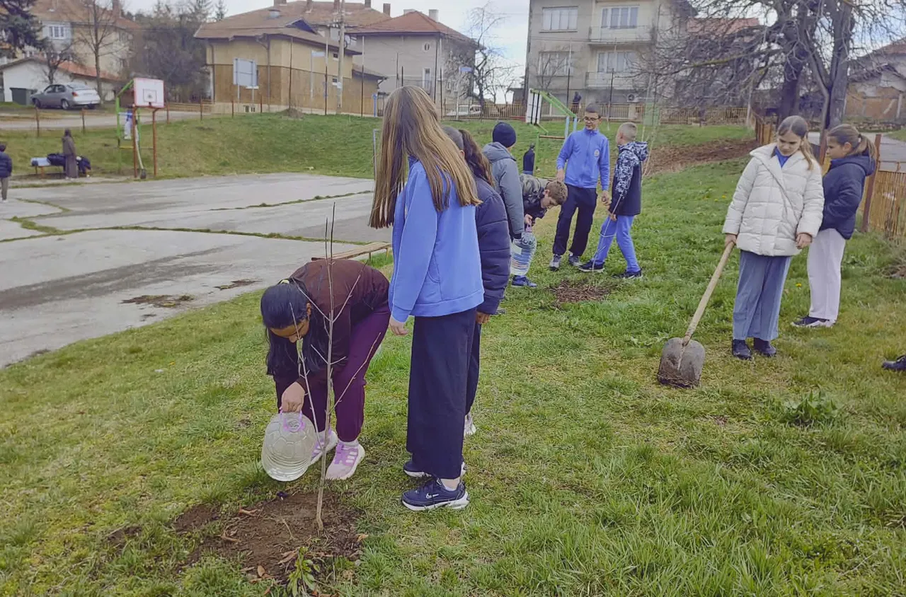 Ученици от Брезник с инициатива за залесяване