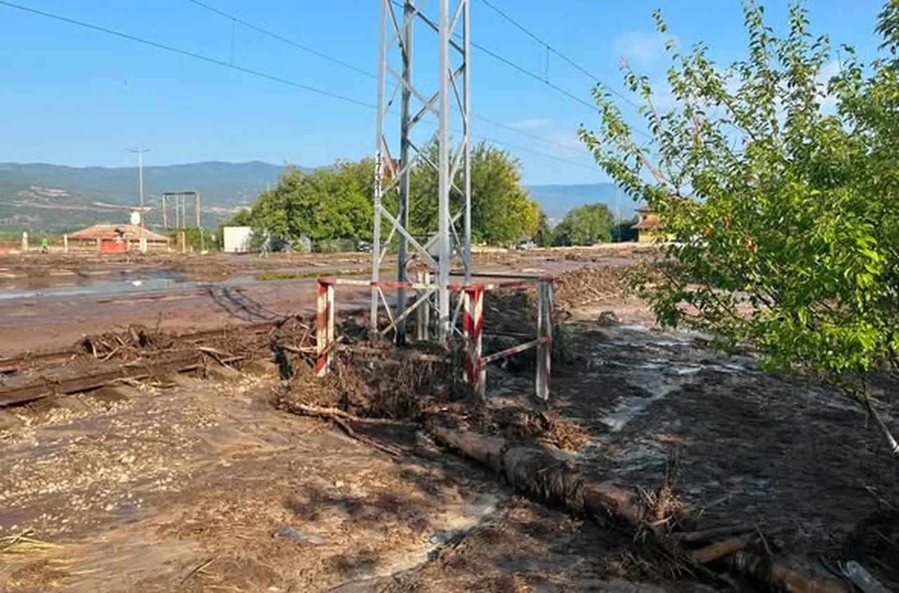 Възстановено е електрозахранването в община Струмяни