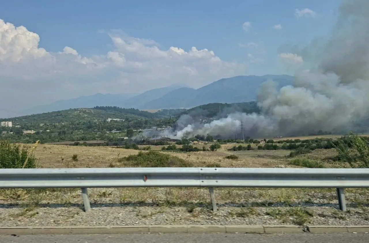 Пожарът край Дупница обхвана 15 декара