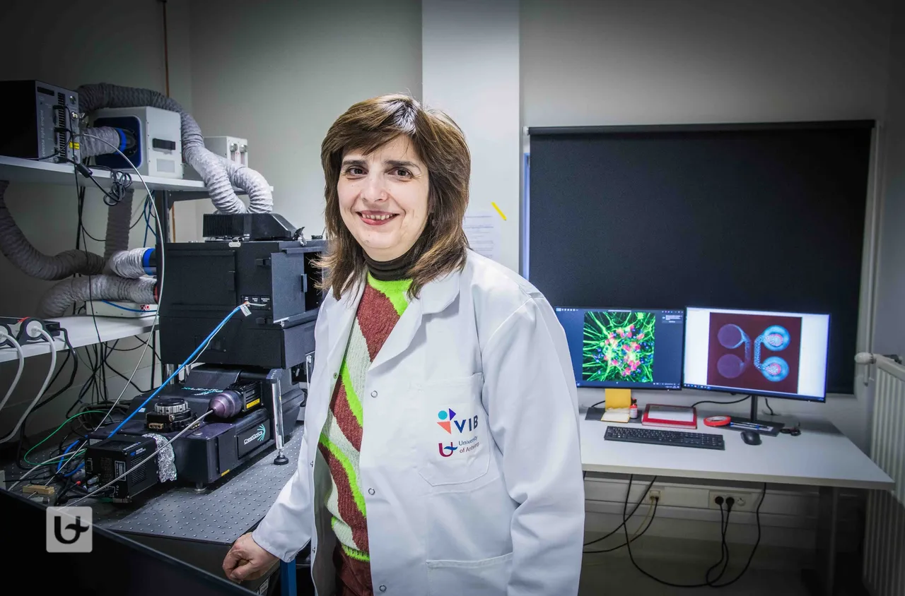 Наша сънародничка спечели престижна научна награда