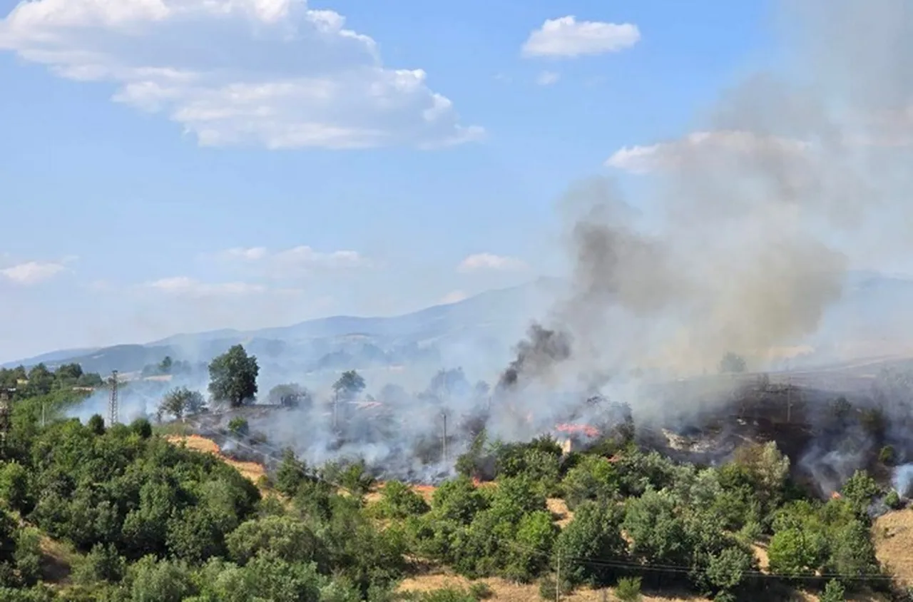 Пожар между селата Делвино и Марулево