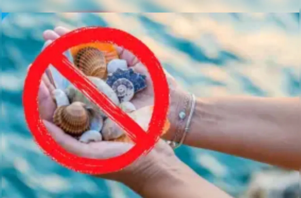 1 000 евро глоба за събирането на мидички и камъчета от плажовете в Гърция