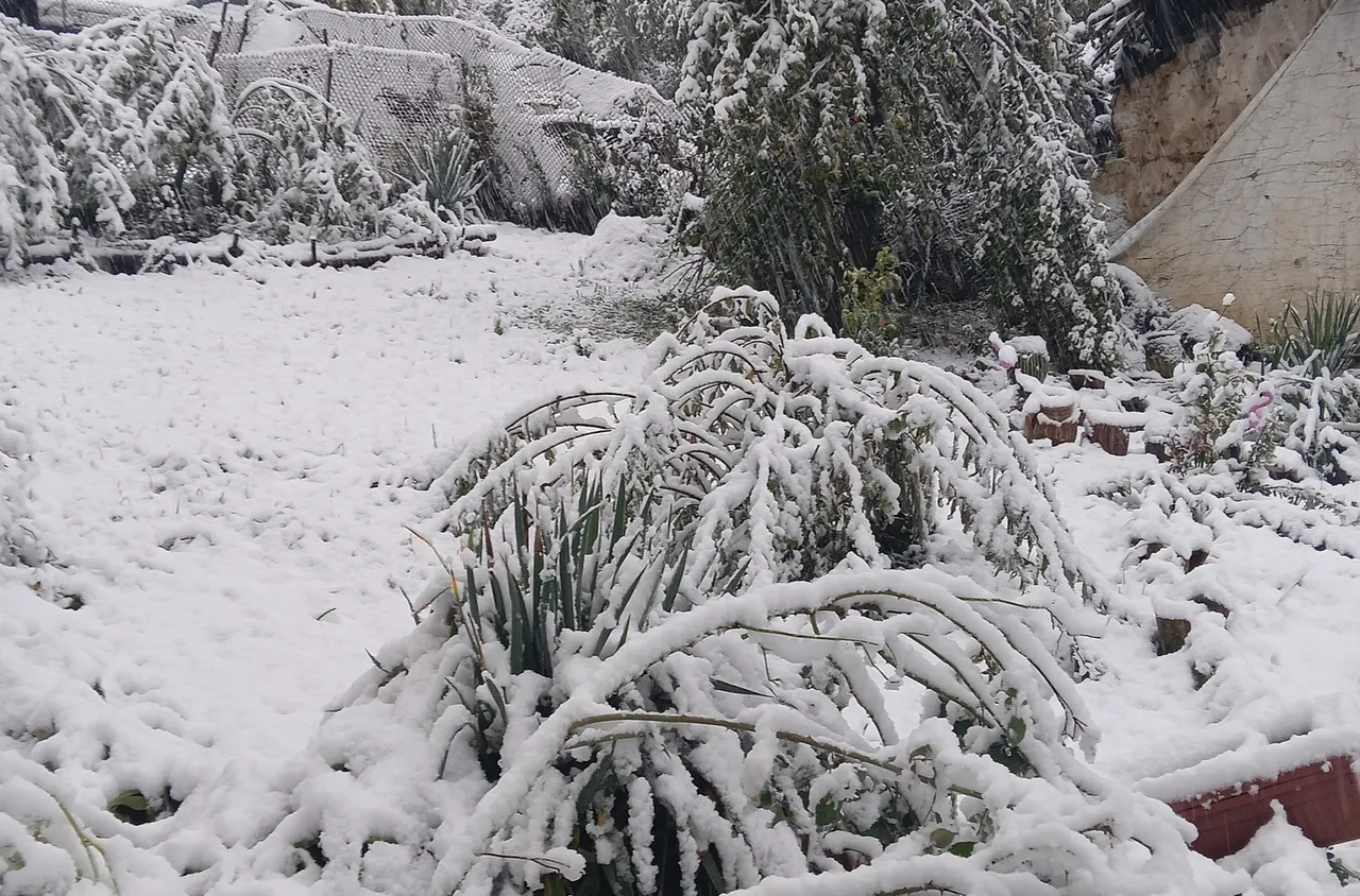 И община Трън обяви бедствено положение