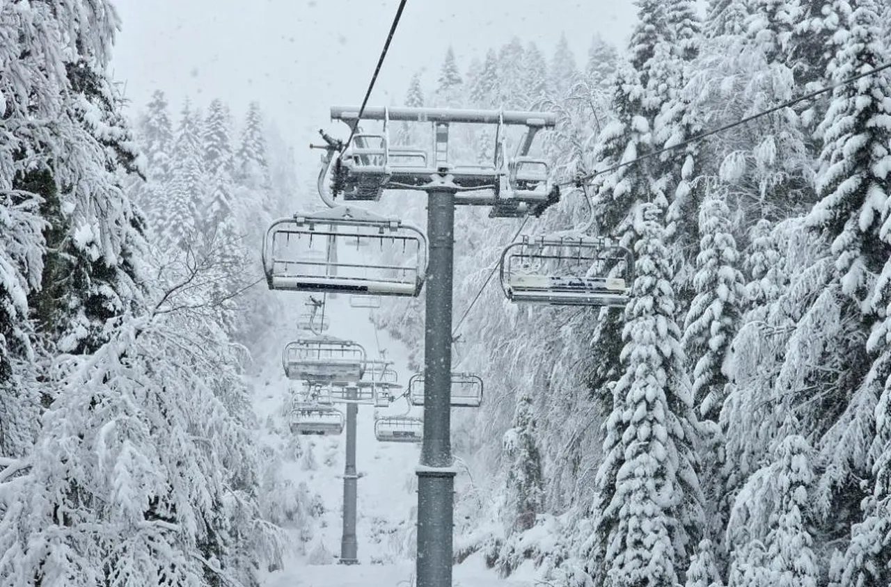 Отварят ски зоната в Пампорово